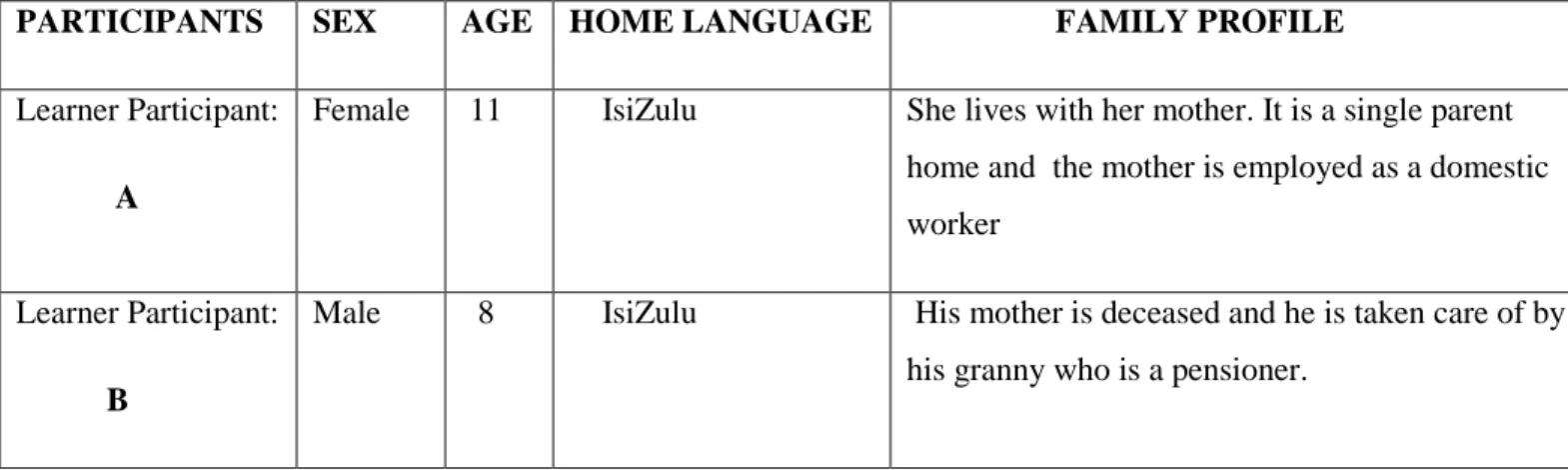TABLE 2 THE DEMOGRAPHIC PROFILE OF LEARNER PARTICIPANTS  PARTICIPANTS SEX AGE HOME LANGUAGE                   FAMILY PROFILE