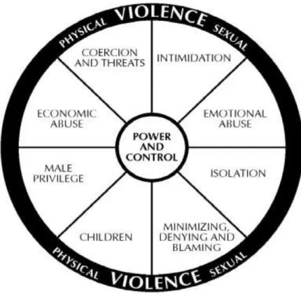 Figure 1: The power and control wheel by Kelly & Johnson (2008)  (i)  Physical violence 