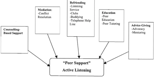 Figure 2.1 Models of Peer Support