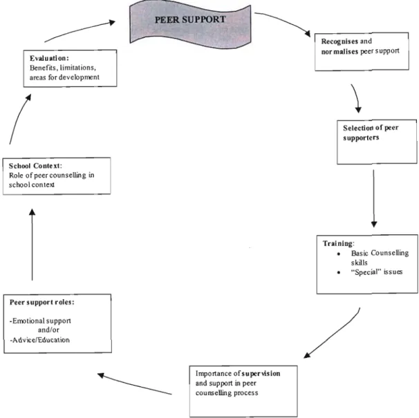 Figure 2.2 The Process of Peer Support