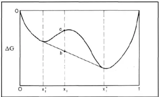 Figure 3-9: Molar Gibbs energy of mixing for a partially miscible binary system  (Prausnitz et al., 1999)