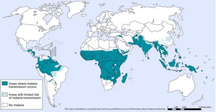 Figure 1.1 Global distribution of malaria
