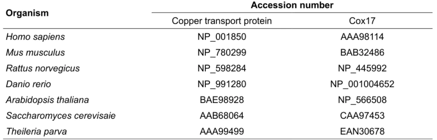 Table   2.1  Accession   numbers   of   sequences   used   for   copper   transport   protein   and   Cox17  phylogenetic tree construction