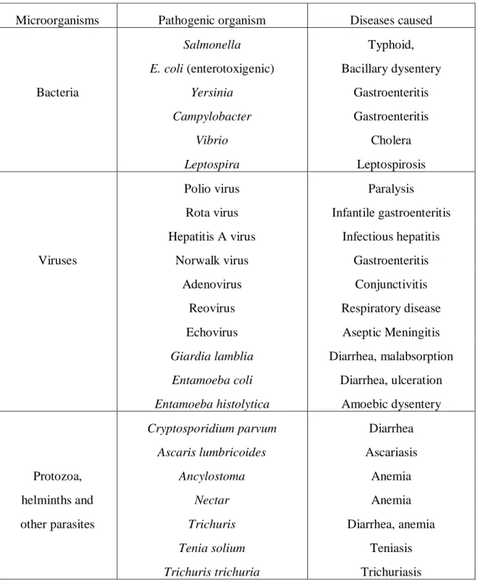 Table 1.2: Major waterborne pathogens and diseases caused (Yates, 2013). 