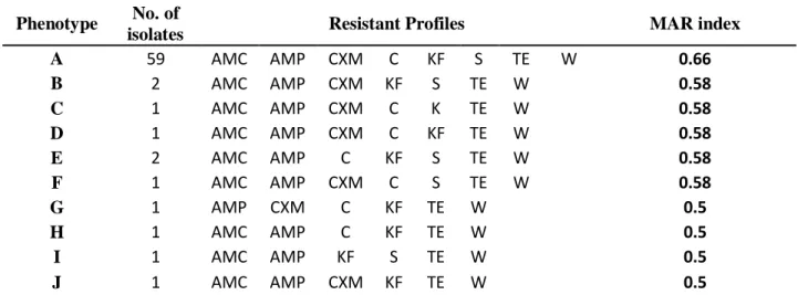 Table  3.5:  Distribution  of  the  resistance  phenotype  and  multiple  antibiotic  resistance  index  amongst  Yersinia enterocolitica isolates