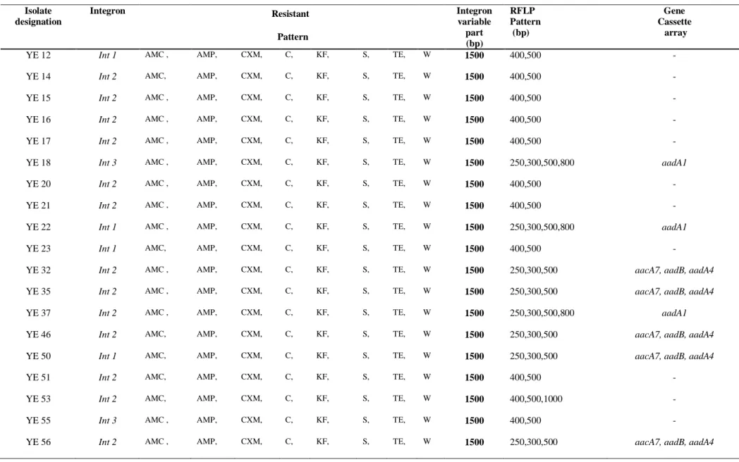 Table 3.6: Characterization of integrons and antibiotic resistance patterns of integron positive Yersinia enterocolitica isolates  recovered from wastewater treated effluent.