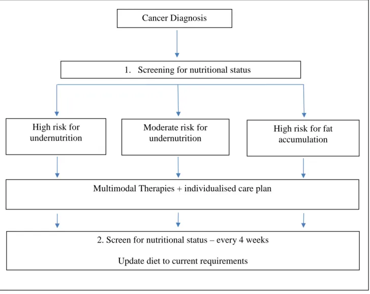 Figure 2.1:   A screening schedule for nutritional status after diagnosis (after  Bauer  et al  2011)