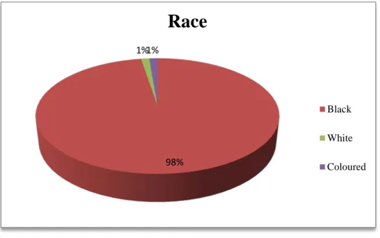 Figure 4.1  Sample population characteristics according to race 