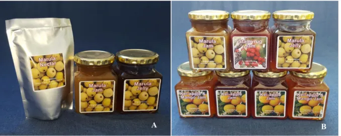 Figure 2.1.2: South African examples of commonly processed indigenous fruit products 