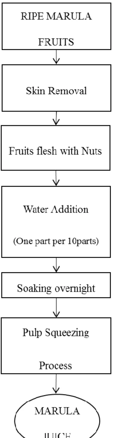 Figure 2.3.3: Flow diagram for the preparation of marula juice. Adapted from: Rampedi and  Olivier (2013)