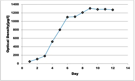 Figure 9: growth curves recorded for Nannochloropsis sp at 30  o C 