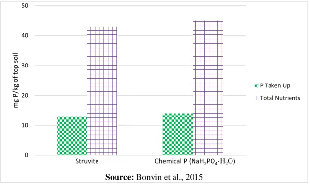 Figure 2.4. Plant phosphorus uptake from struvite in comparison monosodium phosphate   As  these  fertilisers  have  agronomic  potential,  a  strategy  may  be  devised  to  enhance  their  adoption  in  agriculture