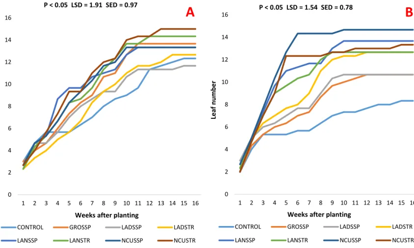Figure 4.2. The effect of different fertiliser treatments on maize plant leaf number for the first  (A) and second (B) trials over a time period of 16 weeks 
