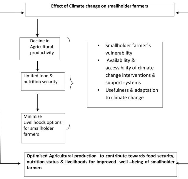 Figure 2: Study Conceptual framework 