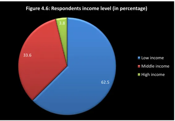 Figure 4.6: Respondents income level (in percentage)