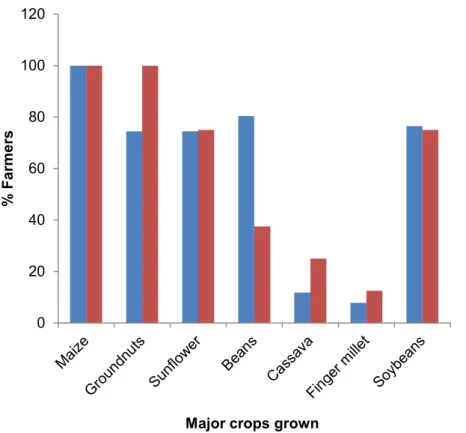 Figure 2.4: Percentage of farmers indicating the major crops in the study areas 