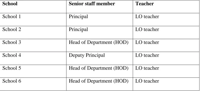 Table 4.1: Summary of interview participants 