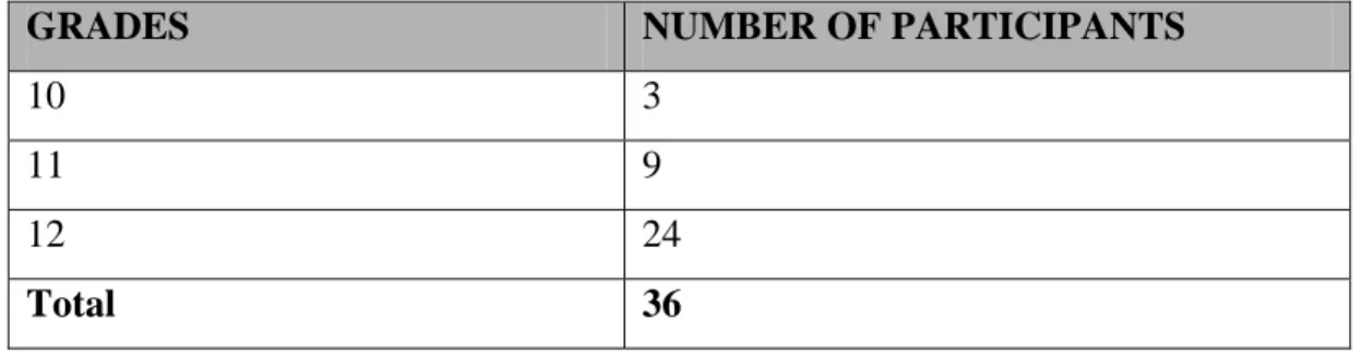 Table 3.1: Grades of participants  