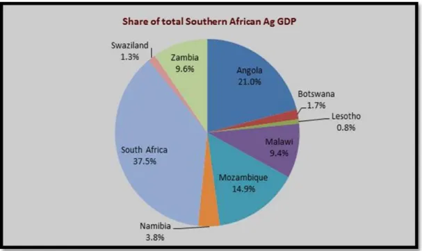 Figure 1. Share of total Southern African GDP by country Source: resakss.org  