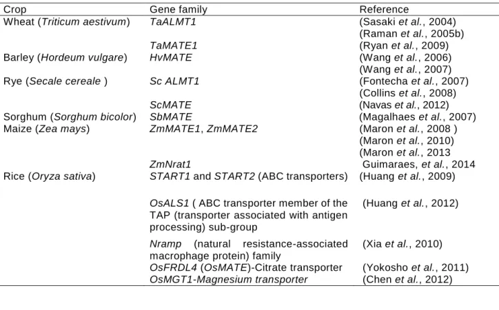Table 1.3. Genes encoding for membrane transport protein families in different cereals     