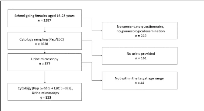 Figure 1. Flow of participation showing baseline and follow up 