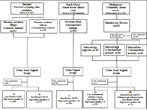 Figure 2 summarizes the prevalence and intensity of Schistosoma infection based on different  diagnostic procedures performed on urine, stool and lavage