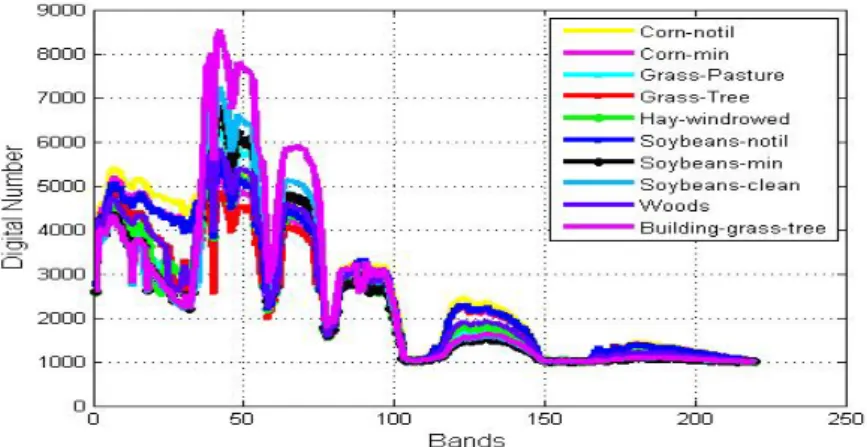 Figure 1.1: Spectral Curves of the AVIRIS Indian Pine Image