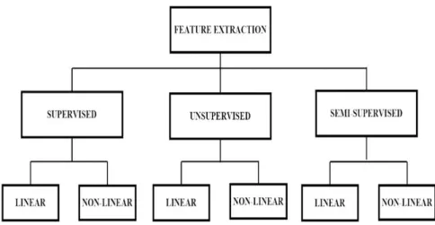 Figure 2.1: Feature Extraction in HSI