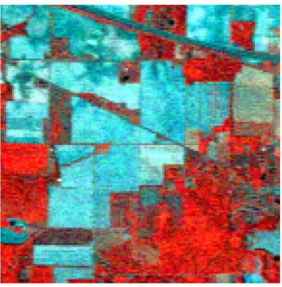 Figure 3.1: 3 band Display of the AVIRIS Indian Pines Image
