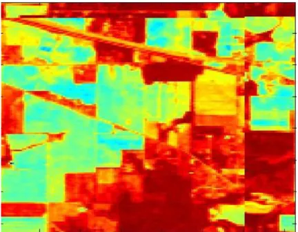 Figure 3.3: Spatial Display of the First Extracted Principal Component