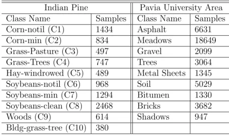 Table 4.1 shows the class information of the two data sets used in this work.
