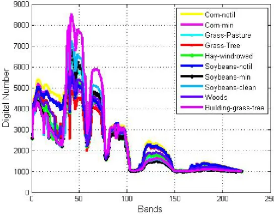 Figure 5.4: Spectral Curves for the AVIRIS Indian Pine Data.