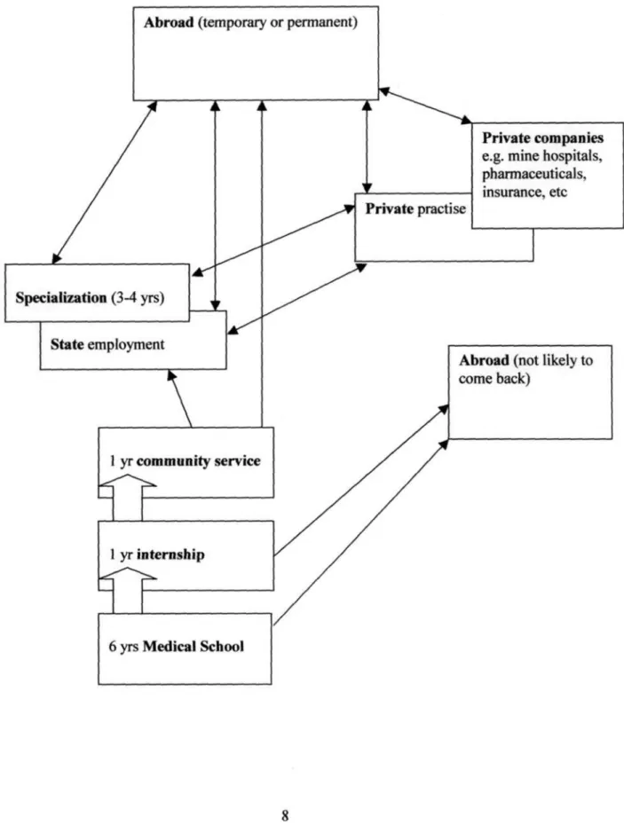 Fig. 1.1: Career dynamics for South African medical graduates  Abroad (temporary or permanent) 