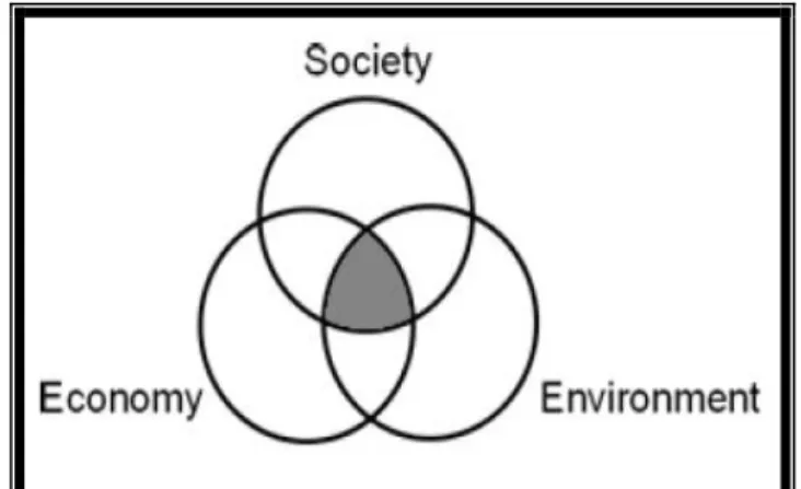 Figure 3.5: The components of sustainable development 