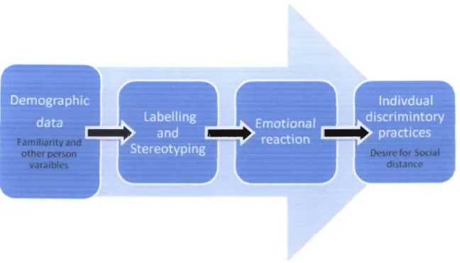 Figure 1:  Stigma components and their unfolding 