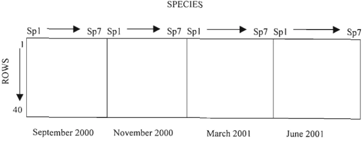 Figure 4: The four data tables arranged for Three-Way Table Analysis.