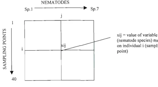 Figure 3: Table showing arrangement of rows (individuals) and columns (variables).