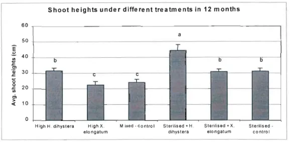 Figure 1: Differences in sugarcane shoot heights (cm) in soils with different proportions of H.