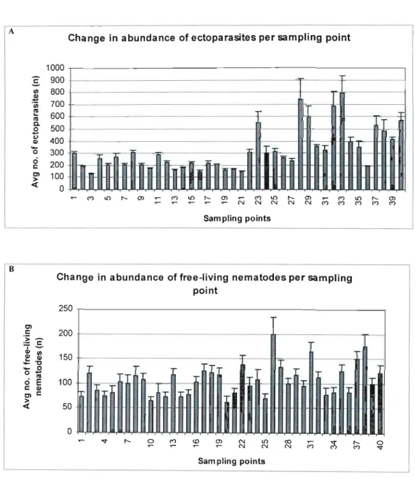Figure 1: Change in nematode abundance per sampling point for the four sampling dates, (A) ectoparasites in soil, (B) free-living nematodes in soil