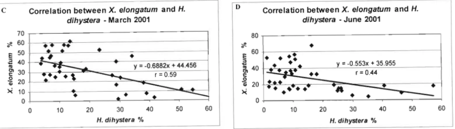 Figure 8: Significant negative regressions between X. elongatum and H. dihystera for the four sampling dates.