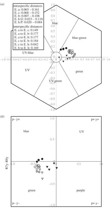 Figure 3. Floral colours of the four Eucomis species in bee and fly colour space. (a) Loci in the bee colour hexagon (in this case used as a model of wasp vision; Chittka 1992)