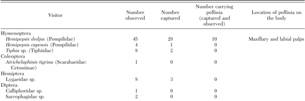 Table 1. Pachycarpus appendiculatus visitors and their respective pollen loads