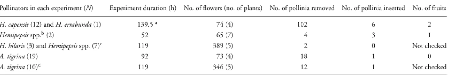 TABLE 1. Pollen fates in five cage experiments conducted with Hemipepsis spp. wasps and the chafer beetle Atrichelaphinis tigrina.