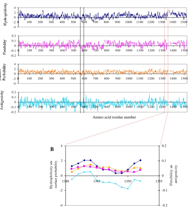 Figure  5.1.  Hydrophilicity,  surface  probability,  flexibility  and  antigenicity  predictions  of  the  full  length P