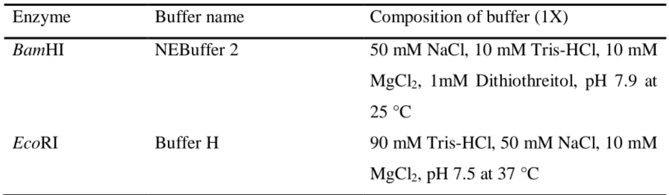 Table 2.5. The specific restriction enzymes and buffers used to digest plasmid DNA. 