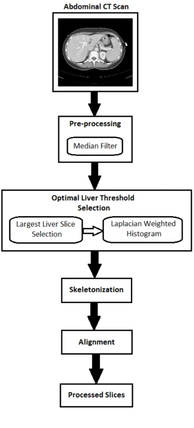 Figure 3.1: Overview of Liver Segmentation Framework