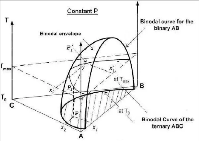 Figure 2-2: The phase diagram of a ternary system exhibiting a wide miscibility gap (Schmitz and  Mendez, 2005)