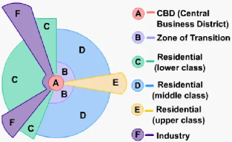 Figure 3.2: The Hoyt Sectoral Theory. Image Source: (S-Cool, n.d)