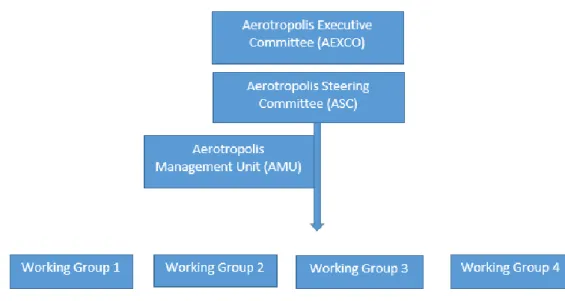 Figure 7-1 Structure of stakeholder engagement platforms of the Durban Aerotropolis 