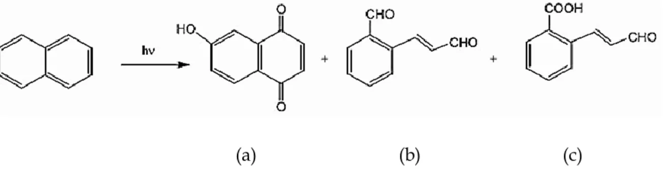 Figure 1.2 The photochemical reaction of naphthalene in aqueous solution  (Yu, 2002). 